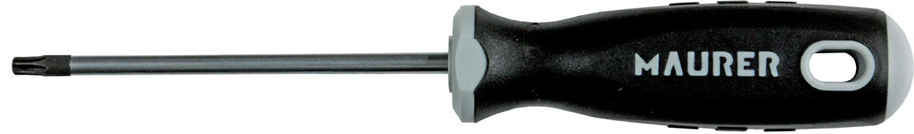 CACCIAVITE TORX LAMA MAURER PLUS T 20X100