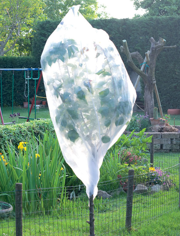 CAPPUCCI TNT PER GELO PIANTE  17GR/MQ. MT.1,6X1 PAPILLON CONFEZIONE 3 PEZZI