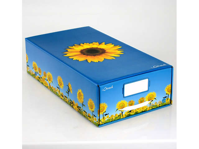 CASSETTO SPACE KIT MIDICassetto Spece Kit colori assortiti cm 29x15x54,5