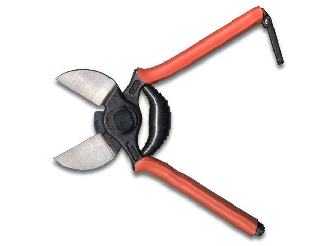 Forbice a doppio taglio per potatura manuale Lisam. Dimensioni 21cm.