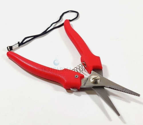 FORBICE COGLIUVA CM.19 AUSONIA