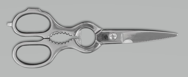 FORBICE CUCINA FORGIATA INOX CM20,5 AMBROGIO SANELLI