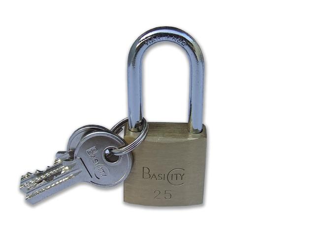 Iseo lucchetto City Basic Aditus, arco lungo mm25, corpo in ottone, fornito con 3 chiavi.