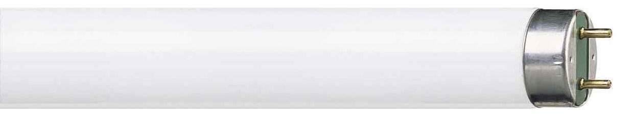 Lampada fluorescente MASTER TL-D SUPER 80 36W/865 6500K 1SL/25La lampada MASTER TL-D Super 80 offre più lumen per watt e miglior