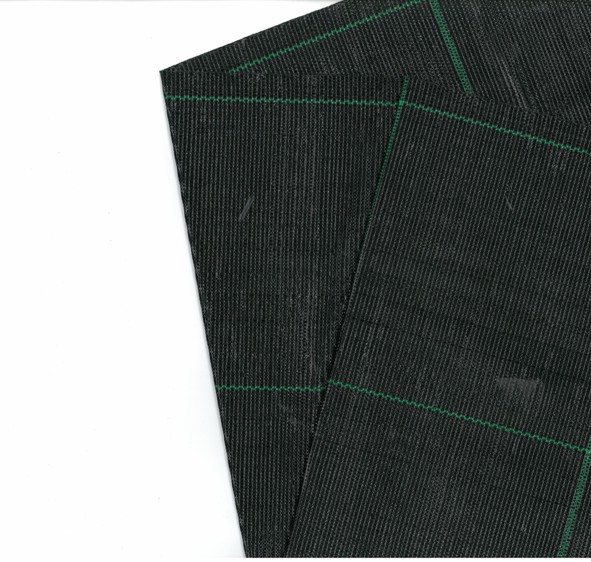 TELO PACCIAMAT 2,10x10M NE