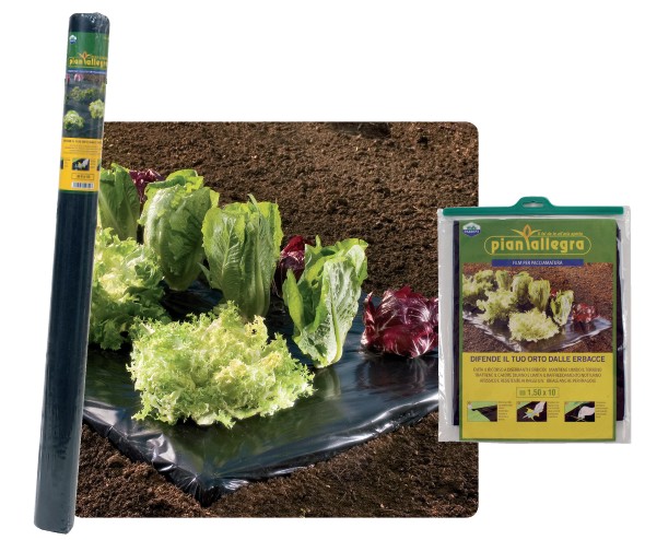 FILM PACCIAM H1.2x50MT NER