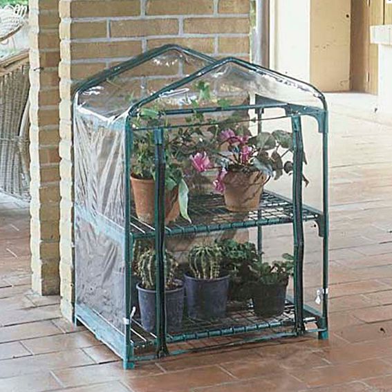 SERRA AZALEA 2 RIPIANI    