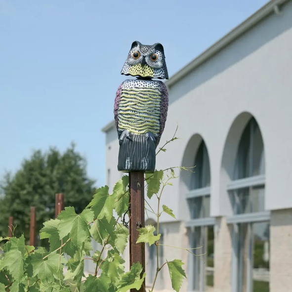 GUFO ANTIVOLAT C/TESTA GIR