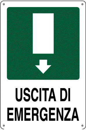 CART USCITA EMERG 30x20PVC