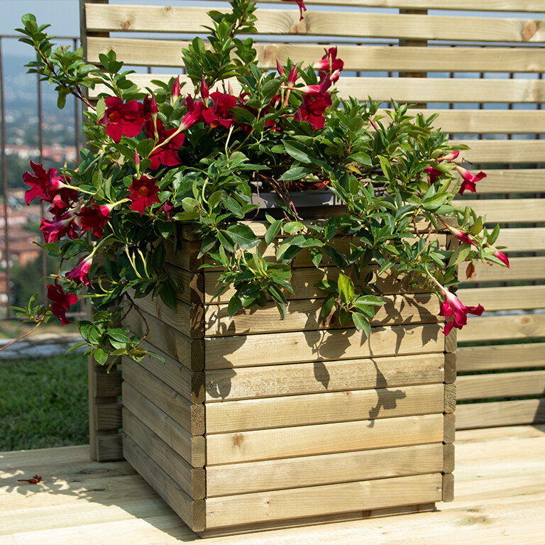 FIORIERA CAMELIA CM 40x40x40h