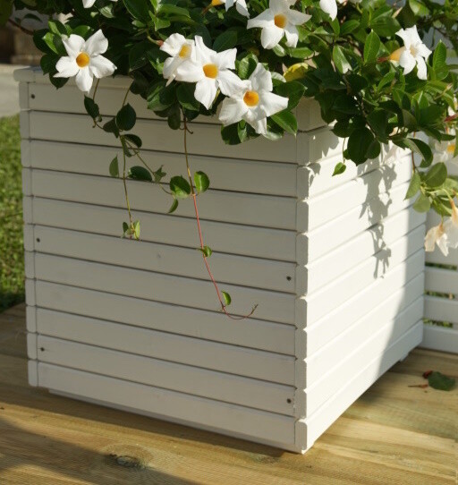 FIORIERA CAMELIA CM 50x50x50h BIANCA