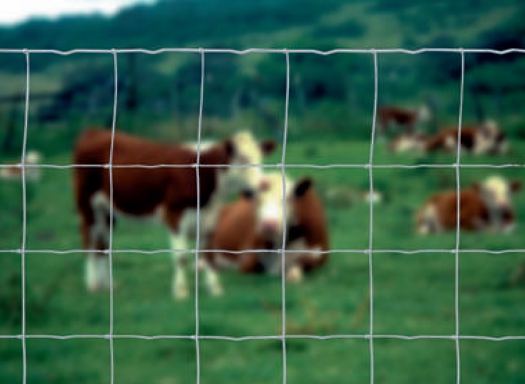 RETE AGRINET H200/20 50 MT