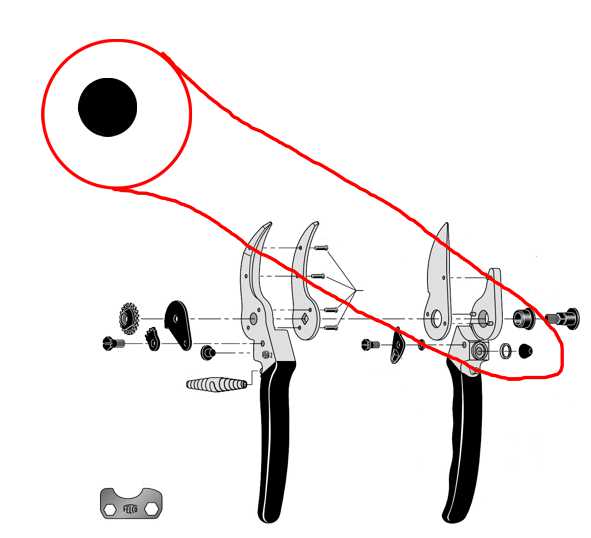 AMMORTIZZAT x FELCO 2 2/20