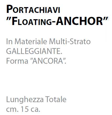 P/CHIAVI SPUGNA ANCORA 6PZ