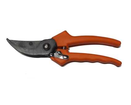 FORBICE VIGNA PESANTE 23CM