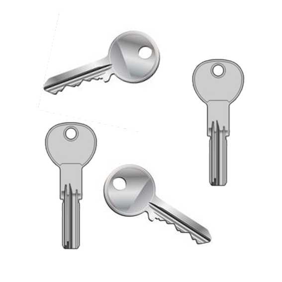 CHIAVE GREZZA PER 85255   