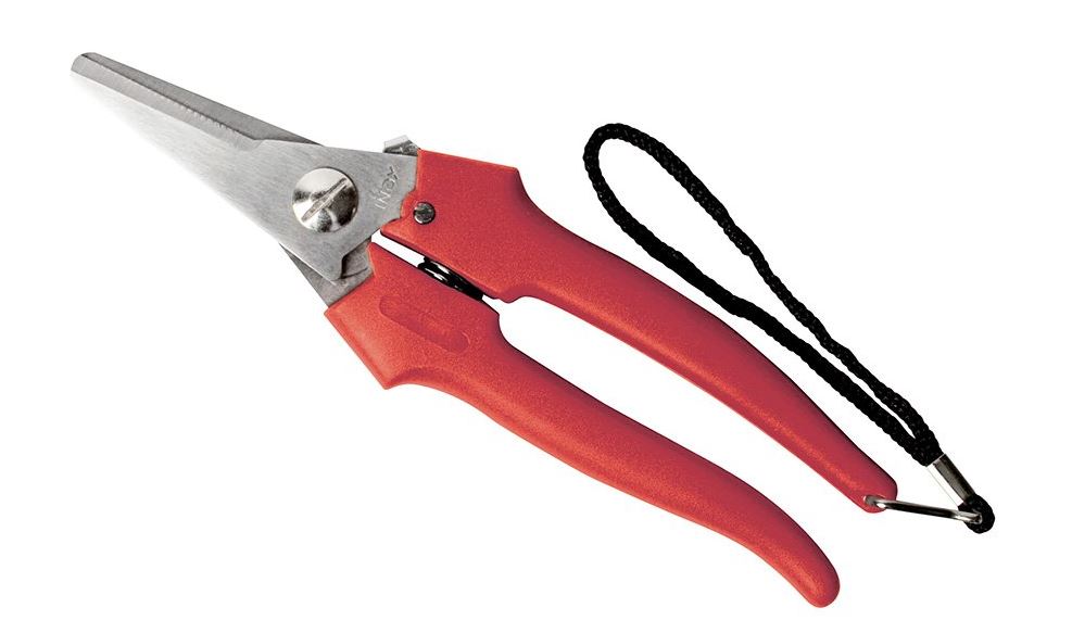 FORBICI COGLIUVA STANDARD AUSONIA 31327 CM19