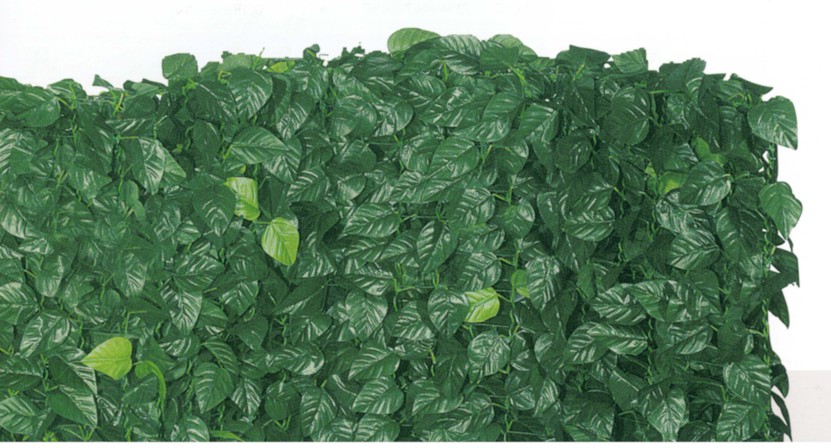 SEMPREVERDE LAURO H100 3MT