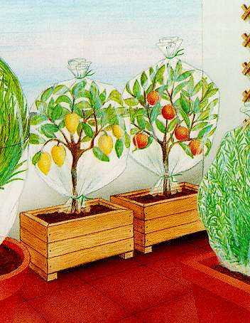 AGRICAP.MT 0,7 X 5 MT     