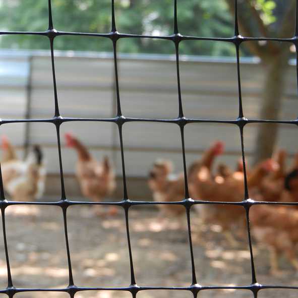 RETE RECINBLACK  H100 L100