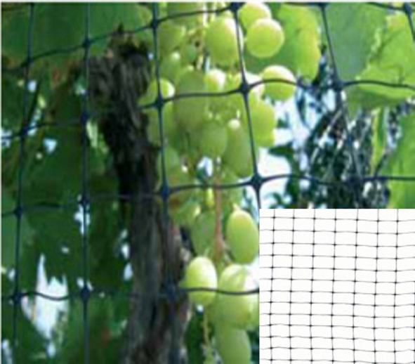 RETE DIFENGREEN   MT4x10MT