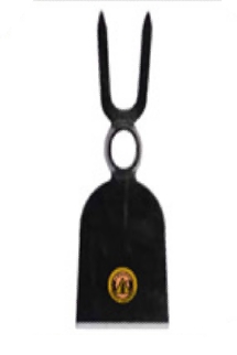 ZAPPINO BIDENTE cm10      