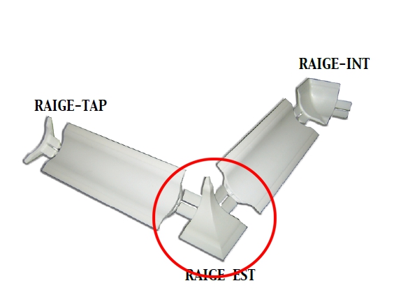 RACC ESTERN PROF IGEN MORB