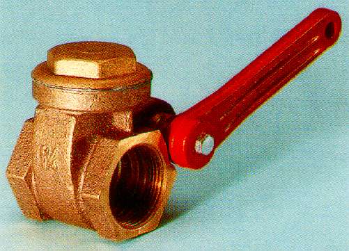 SARACINESCA A LEVA  1,1/2 