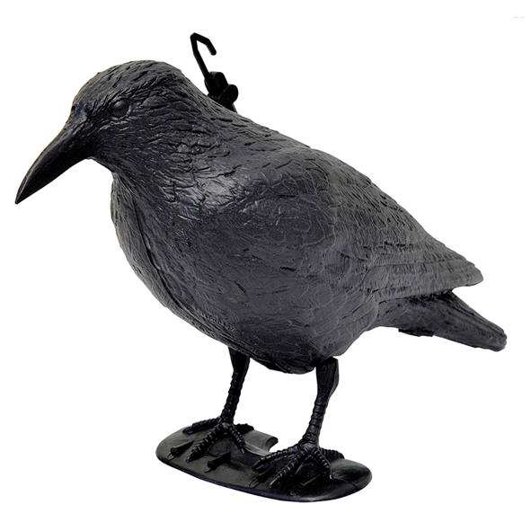 CORVO DISSUASORE VOLATILI 