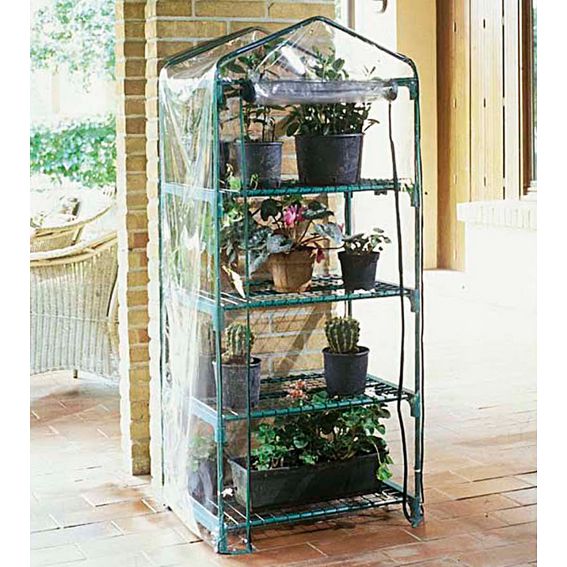 TELO SERRA AZALEA 4   2494