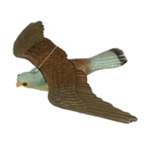 FALCO PREDATORE ANTIUCCELL