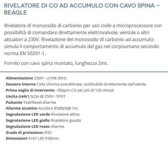 RILEV.FUGHE GAS CO  C/SPIN