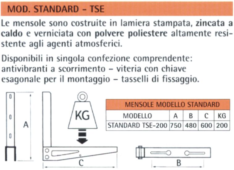 STAFFA A MURO TSE 250  2PZ
