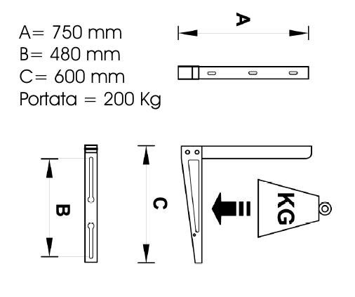 STAFFA A MURO TSE 250  2PZ