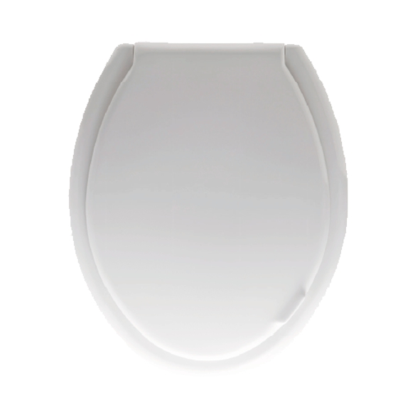 SEDILE FORLI'(EX ASILO S8)