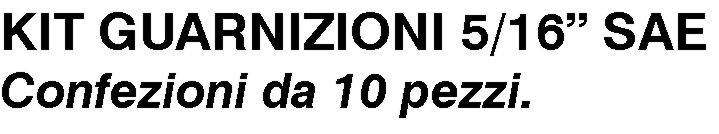 GUARN TUBO 5/16 PTFE 10PZ 