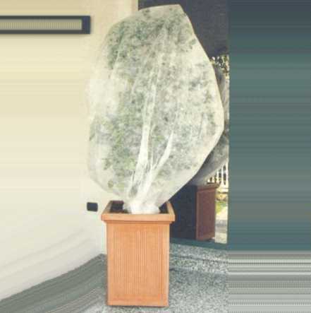 CAPPUCCIO TNT 60x80   6 PZ