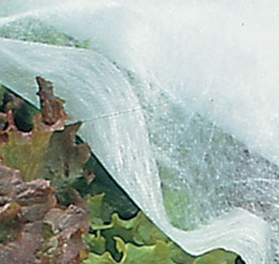 VELO TNT MT1.6x10 30GR/MTQ