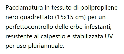TELO PACCIAMAT 1,6x100M NE