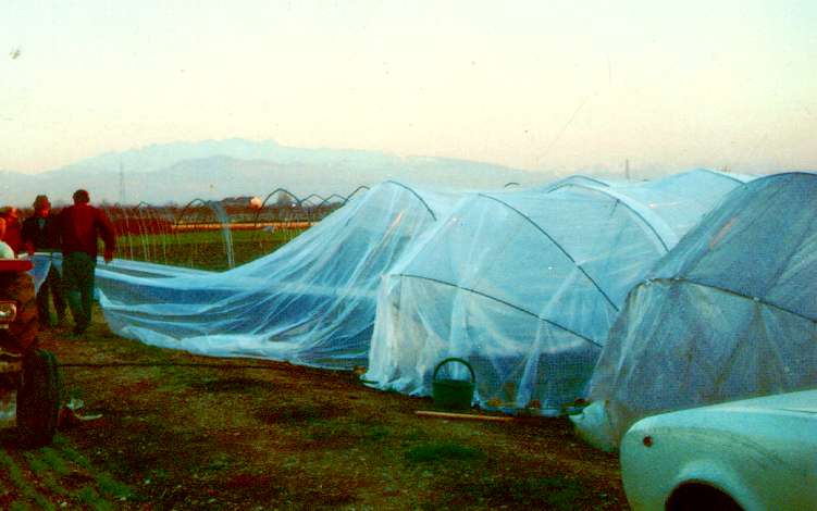 FOGLIA P/MT1 MM 0,20 H400 