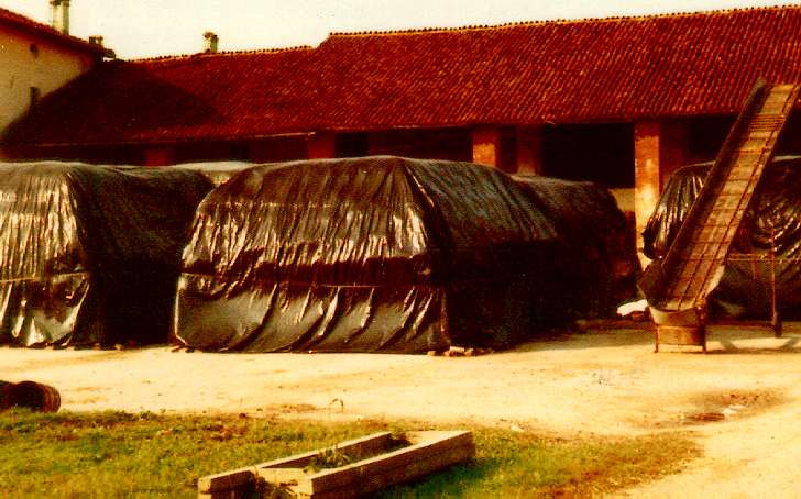 FOGLIA POL NERA   0,05 120