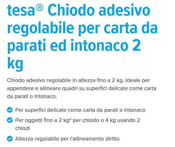 CHIODI ADES REG x MURO 2KG