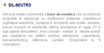 SIL BOSTIK NEUTRO TRASPAR 