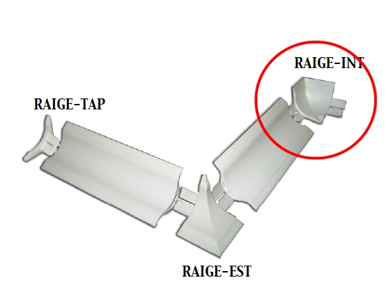 RACC INTERN PROF IGEN MORB