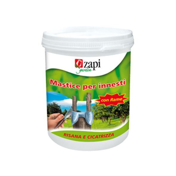 ZAPI MASTICE INNESTO 500GR
