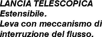 LANCIA TELESCOPICA PLUS   