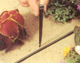 FITTON TUBO CAPIL 1/4 15PZ