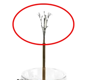 SCOVOLO 3 RAZZE X LAVABOTT