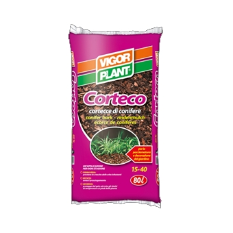 BANC CORTECCIA   PZ42x60LT