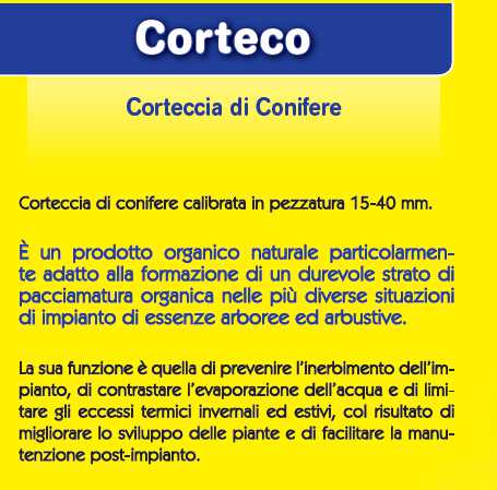 BANC CORTECCIA   PZ42x60LT